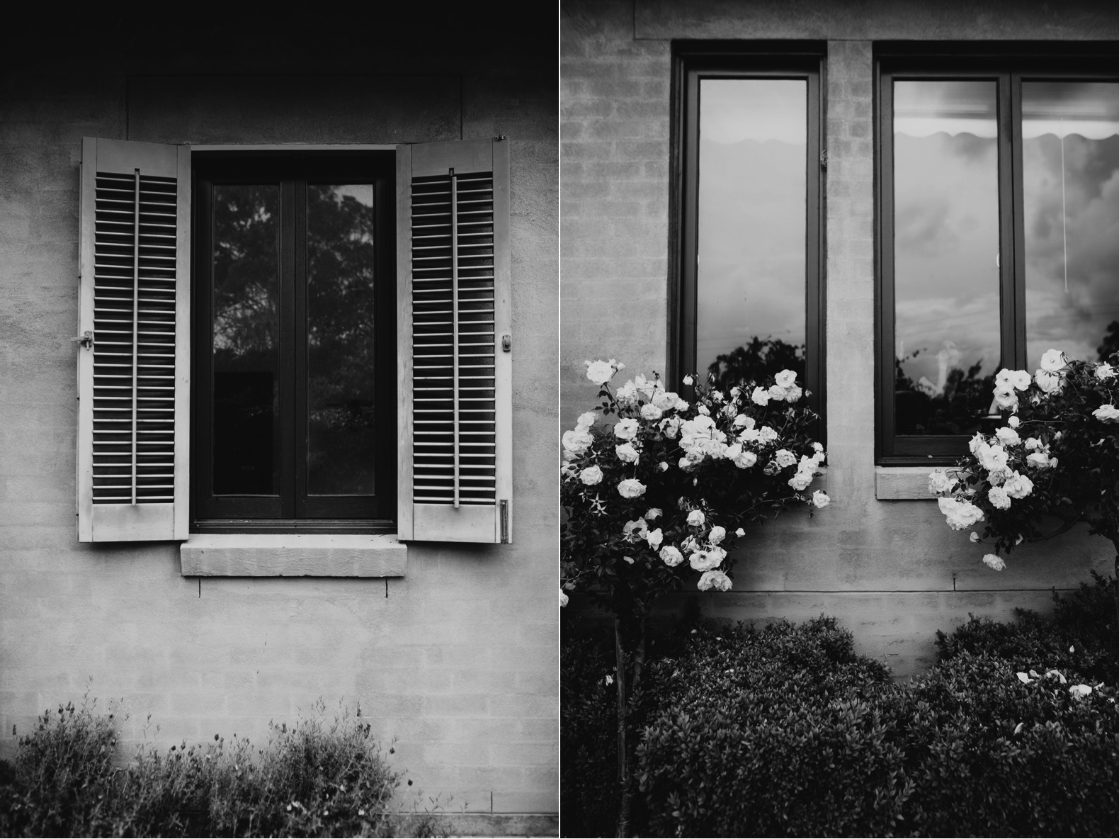 thornbury lodge stanthorpe windows and roses in the rain