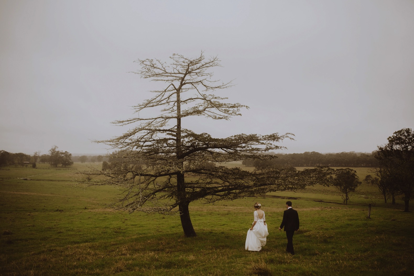 stanthorpe wedding photography bride and groom in field with one tree 